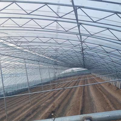 China Clear Plastic Greenhouse Protection Film Waterproof / High Tear Resistance / Moisture Proof Low Price for sale