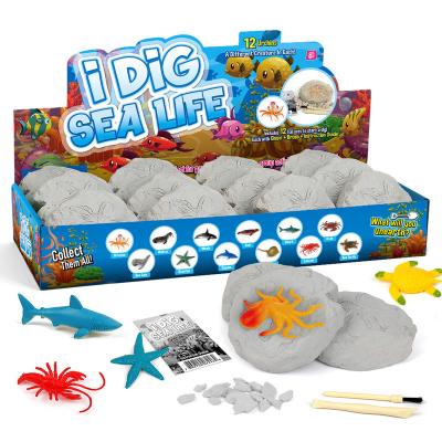 China Plaster and NEW plastic DIY 12 Marine Creatures Discover Digging Eggs hands-on play other marine species excavation educational toy for sale