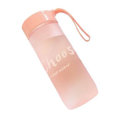 China Wholesale Viable 600ml Cheap Creative Outdoor Plastic Drinkware From China for sale