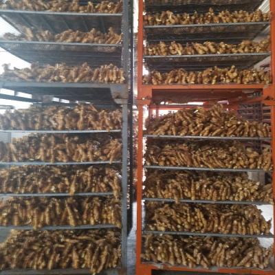 China Ginger Chinese Factory Supplier Fresh High Quality Ripe Air Dried Ginger for sale