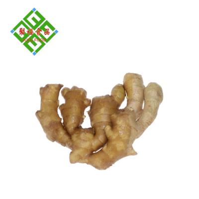 China Fresh Air Dry Ginger for sale