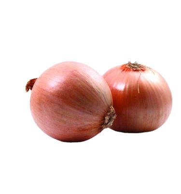 China Chinese origin fresh sweet yellow onion and red onion price for sale