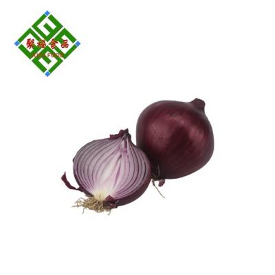 China Fresh high quality cheap fresh red onions for sale