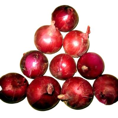 China Fresh red onion for export for sale