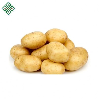 China 100% fresh exportable Bangladeshi fresh potato for french fries for sale