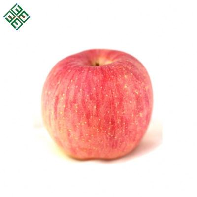 China Fresh Chinese Apple Royal Gala Delicious Apples for sale