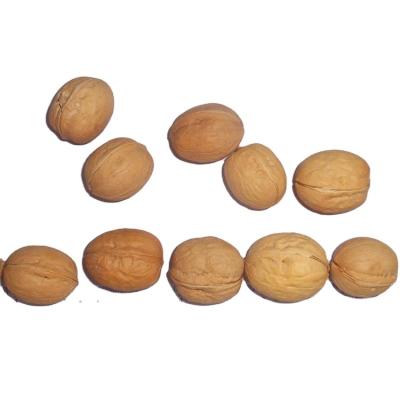 China New Culture Dried Chinese Walnuts With Shell At Low Price for sale