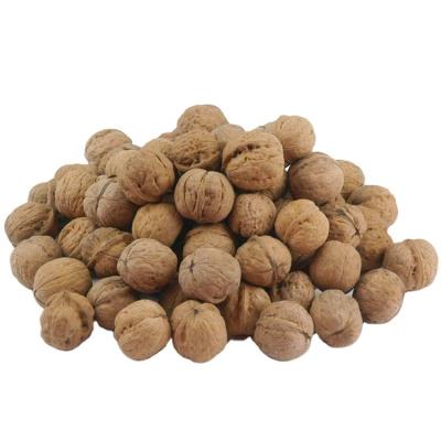 China China Walnut Kernels 185 Dried Raw Walnut Walnut for sale