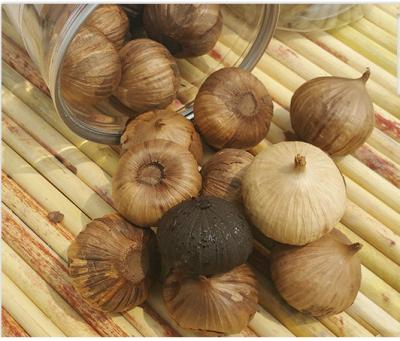 China Fresh single clove black garlic for sale