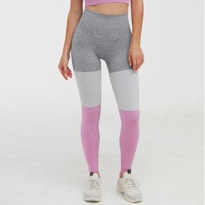 China Hot Sale New Product ACTIVE STRETCH Cotton Plus Size Tight Breathable Gaiters For Good Quality And Price for sale