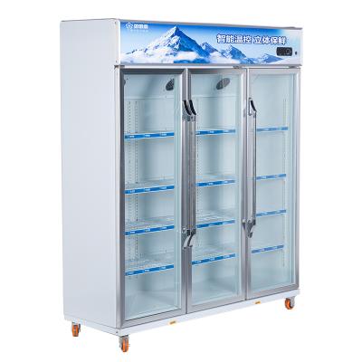 China LC-1188 Snowsea Single-temperature Professional Manufacture Refrigerated Commercial Upright Showcase Freezer for sale