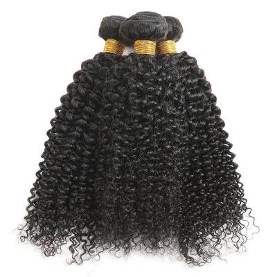 China 100% Virgin Human Hair Kinky Curly Human Hair Bundles For Black Women Double Drawn Afro Curly Hair 3pcs a lot Brazilian Virgin Hair  Weaving for sale