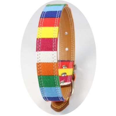 China New Quick Release Amazon Rainbow Color Canvas Dog Collar + PU Alloy Buckle Traction Rope for sale