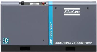 China Intelligent Liquid Ring Pump With Variable Frequency Technology VSD LRP 700-1000 VSD+ for sale