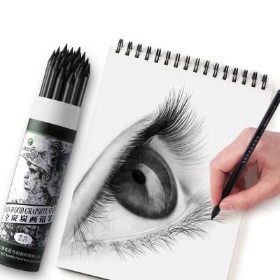 China Soft Plastic Woodless Pencil Manga Sketc Pen Non-Toxic Sketching Professional Charcoal Drawing 1PC Pencils Art Supplies for sale