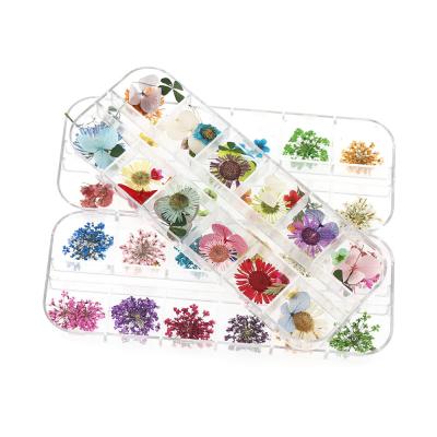 China Nail 2021 Mix Design Beauty Nail Decorations Natural Petals Leaves 3D Nail Dried Flowers For Nails for sale