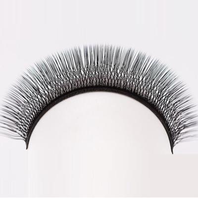 China W Shape Volume Natural Soft High Quality Eyelash Extension Different False Eyelashes for sale