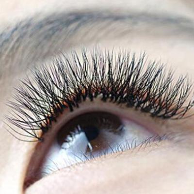 China Professional Natural Soft Lash Extensions Supplies Thick Lash W Individual Shape Lash Extensions for sale