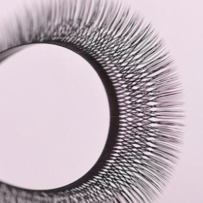 China Natural Soft WW Shape 3D Effect Clover Lashes Individual Fluffy Eyelash Extensions With Lashes for sale