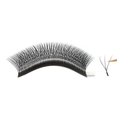 China Hot Sale Natural Soft 8-12mm C Curl W Lashes Manufacturer Supply Eyelashes Extension W Shape Wick for sale