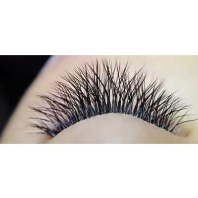 China Supplier Natural Soft W Soft Custom Lash Eyelashes Eyelash Extension for sale