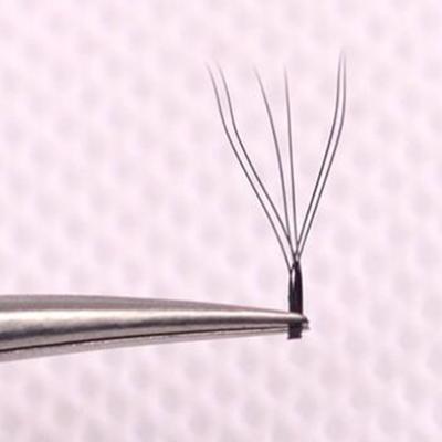 China W Shape Natural Soft Volume Eyelash Extension Different False Eyelashes for sale