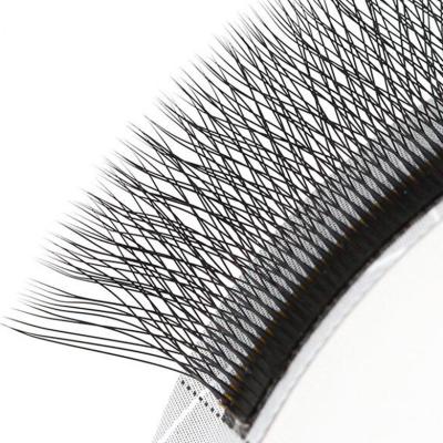 China Natural Soft High Quality Easy Fan Volume Fluffy Eyelash Extension Lashes Trays for sale