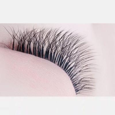 China Custom 4 Natural Soft Roots 4D Fans Lashes Four Leaf Clover Eyelash Extension for sale