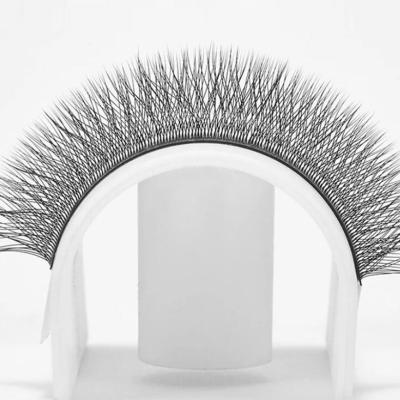 China Natural Soft Hot Selling 3D Effect Clover Lashes Different Fluffy Eyelash Extensions Made In China for sale