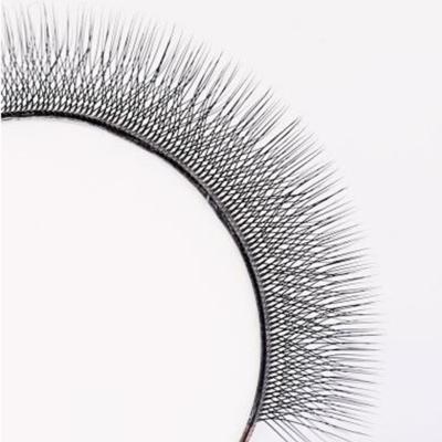 China Natural Soft Extra Long Individual Eyelash Extensions 8mm-12mm Eyelash Extension for sale