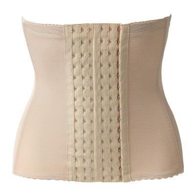 China Body Sculpting Private Label Body Shaper Slim Heat Corset Terylene Waist Trainer Adjustable Slimming Belt For Women for sale