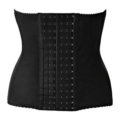 China Body Sculpting Terylene Waist Trainer Corset Slim Heat Custom Logo Private Label Body Shaper Adjustable Waist Cincher for sale