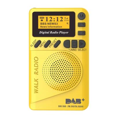 China DAB/DAB+ FM PORTABLE Handheld Digital Radio with and SD Card Player, MP3 Player Support Stations Preset for sale