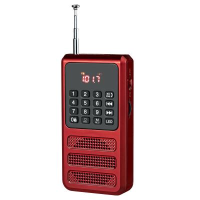 China PORTABLE Mini Portable FM Radio with Blue Tooth, Walkman Radio with Voice Recorder, SD TF Card MP3 Player for sale