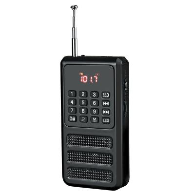 China Mini PORTABLE FM Blueteeth Portable Radio, Pocket Walkman Radio with Voice Recorder, SD Card MP3 Player with Rechargeable Battery for sale