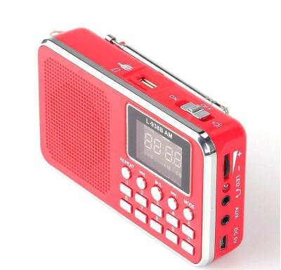 China PORTABLE mini digital radio am portable fm radio with usb speaker for sale