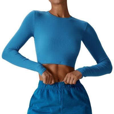 China Breathable Leisure running sports T-shirt, long sleeved fitness suit, quick drying, slimming, lightweight, long sleeved yoga suit top for sale