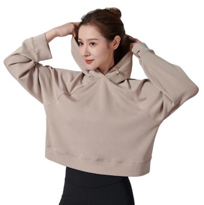 China Ice Silk Elastic Quick Drying Short Sleeves 2023 Women's Spring and Autumn Loose Fit Solid Hooded Long Sleeve Fitness Sports Sweater for sale