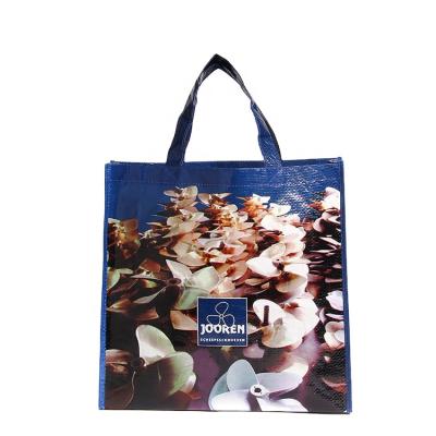 China Custom Printed Handle Grocery Bags Waterproof Recycled PP Woven Bags Eco - Friendly With Logo for sale