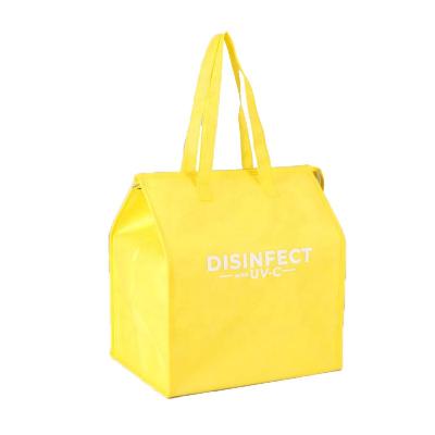 China Thermal Accept Customized Logo And Pack Non Woven Insulated Thermal Lunch Cooler Bag for sale