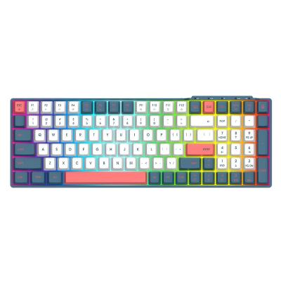 China Popular 100 Keys Custom RGB Backlit Computer Anti-fall Radio Mechanical Gaming Keyboard for Windows Mac Desktop Games Keyboard for sale