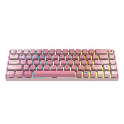 China Popular Custom Wireless Backlit Computer Radio 68 Keys RGB Mechanical Gaming Keyboard For Windows Mac Mechanical Keyboards for sale