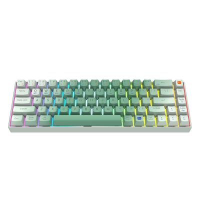 China Popular Custom Wireless Backlit Computer Radio 68 Keys RGB Mechanical Gaming Keyboard For Windows Mac Mechanical Keyboards for sale