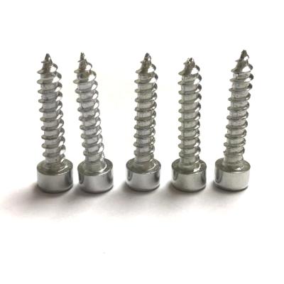 China Pan Cup Screw Socket Hex-Drive Metal Screws for sale