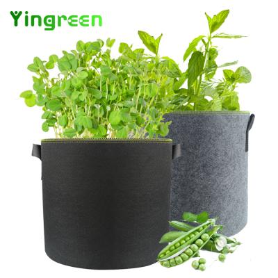 China High Quality Planting Customized 1 Potted Plant 3 5 7 10 20 30 Gallon Mushroom Non Woven Fabrics Grow Bags for sale