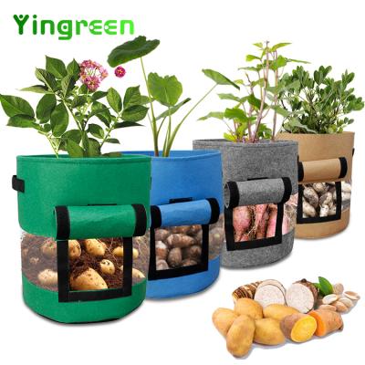 China Planting Potted Plant Vegetable Potato 5 7 10 Gallon High Quality Portable Handle Container Non Woven Fabrics Grow Bags for sale