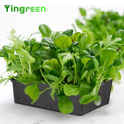 China Planting Good Quality Fabrics Handle Potted Plant 7 8 10 30 Gallon Potato Garden Square Nonwoven Container Flower Grow Bags for sale