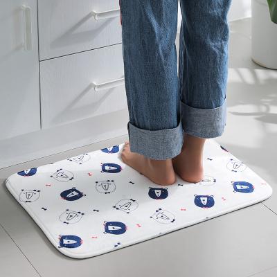 China 2021 Washable Hot Sale Wholesale Pour Clean Non Slip Diatomaceous Earth Floor Bathroom Diatomite Absorbent Bath Mat for sale