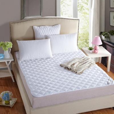 China Queen Anti-Static Waterproof Hot Sale Hotel Mattress Canvas Protector for sale