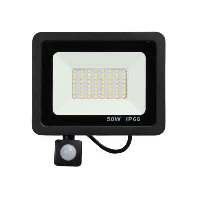 China Garden 30W Various New Factory Manufacture Style Led Lawn Light Spotlight for sale